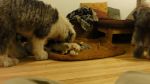 DSC05679.JPG