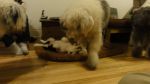 DSC05681.JPG