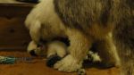 DSC05689.JPG