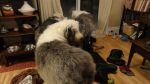 DSC05692.JPG
