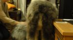 DSC05702.JPG