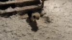 DSC05714.JPG