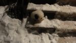 DSC05716.JPG