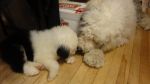 DSC05719.JPG