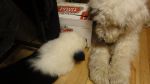 DSC05724.JPG