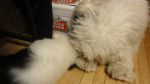 DSC05726.JPG