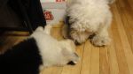 DSC05728.JPG