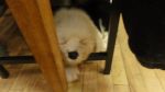 DSC05732.JPG