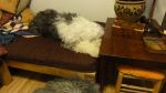 DSC05736.JPG
