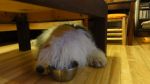 DSC05737.JPG