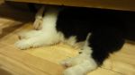 DSC05739.JPG