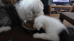 DSC05761.JPG