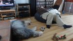 DSC05774.JPG