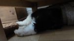 DSC05779.JPG