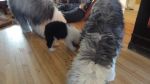 DSC05782.JPG