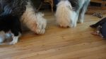 DSC05784.JPG
