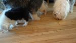 DSC05785.JPG