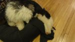 DSC05805.JPG