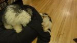 DSC05806.JPG
