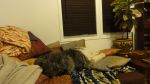 DSC05809.JPG