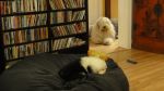 DSC05810.JPG