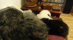 DSC05850.JPG