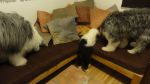 DSC05869.JPG