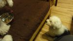 DSC05872.JPG