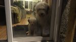 DSC05878.JPG