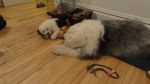 DSC05882.JPG