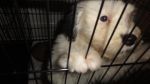 DSC05916.JPG