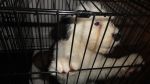 DSC05917.JPG