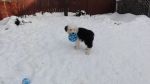 DSC06023.JPG