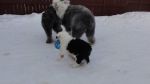 DSC06034.JPG