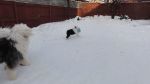 DSC06035.JPG