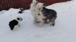 DSC06036.JPG