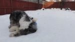DSC06037.JPG