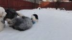 DSC06039.JPG