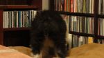 DSC06094.JPG
