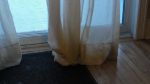 DSC06095.JPG