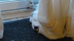 DSC06096.JPG
