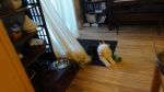 DSC06099.JPG