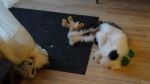 DSC06103.JPG