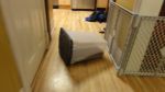 DSC06167.JPG