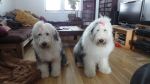 DSC06174.JPG