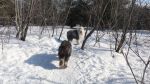 DSC06175.JPG