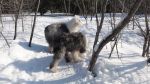 DSC06176.JPG