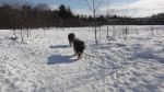 DSC06182.JPG