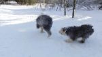 DSC06187.JPG