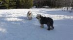 DSC06188.JPG